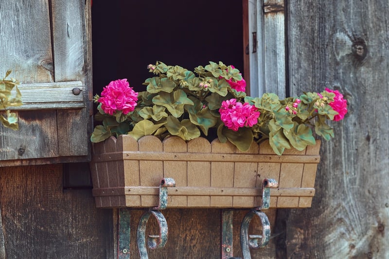 Boot Flower Pots